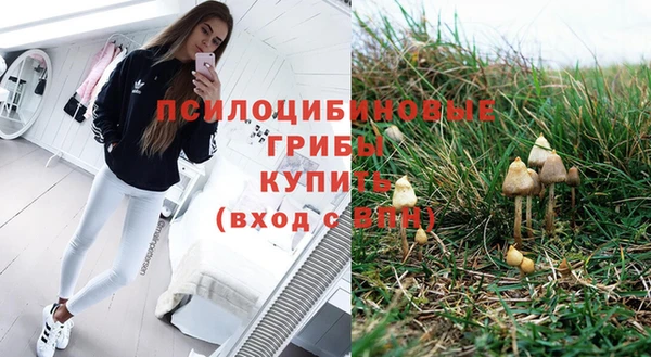 прущая мука Верхний Тагил