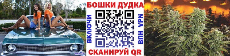 МАРИХУАНА семена  магазин продажи наркотиков  Карпинск 